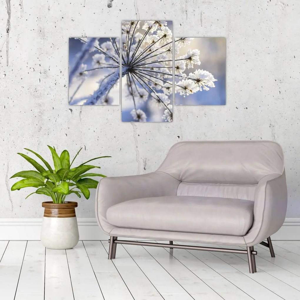 Tablou - Flori înghețate (90x60 cm)