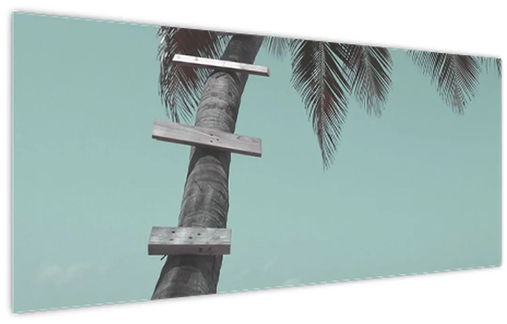 Tablou - Palma în Caraibe (120x50 cm)
