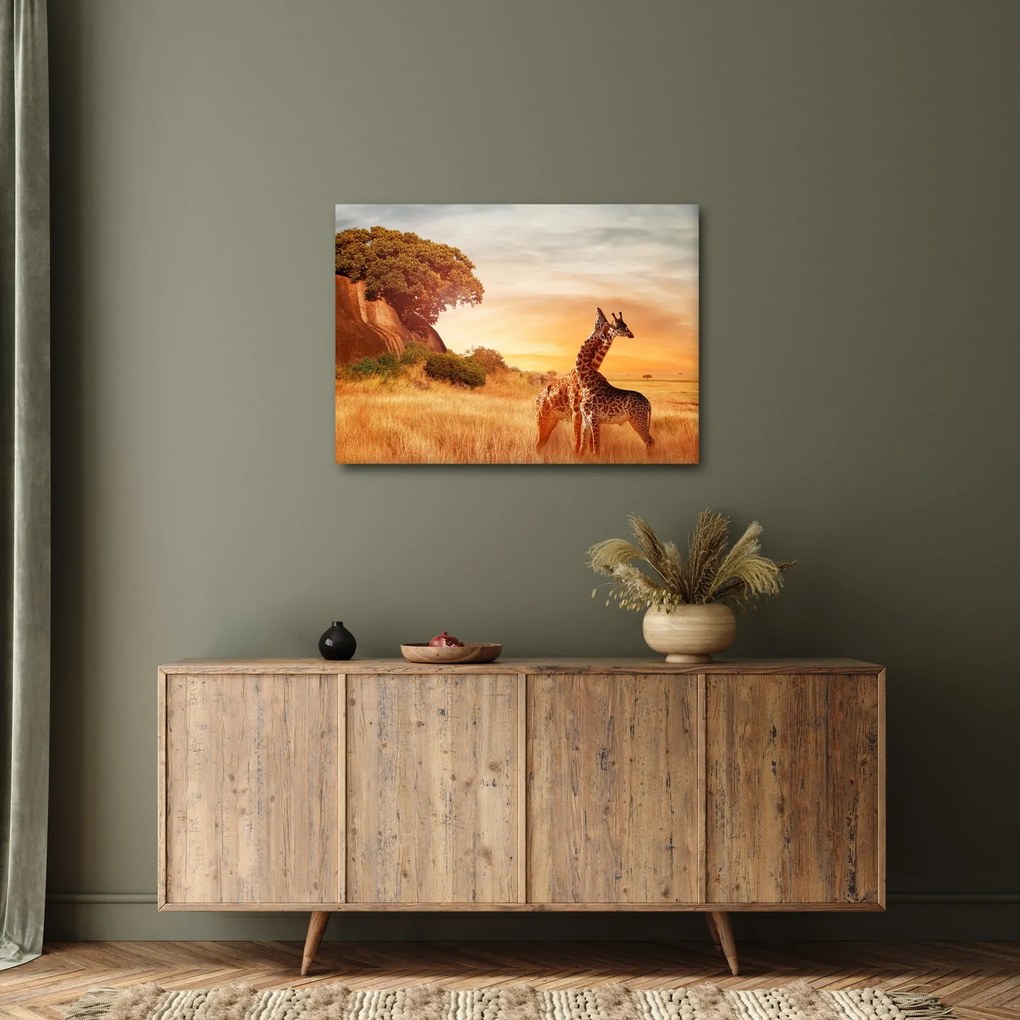Tablou Girafe în Africa (70x50 cm)