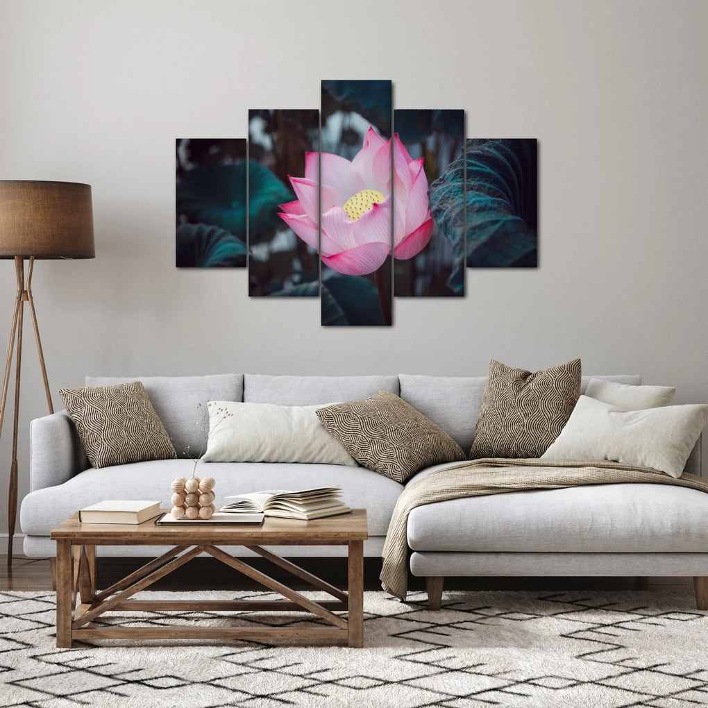 Tablou cu floare roz (150x105 cm)