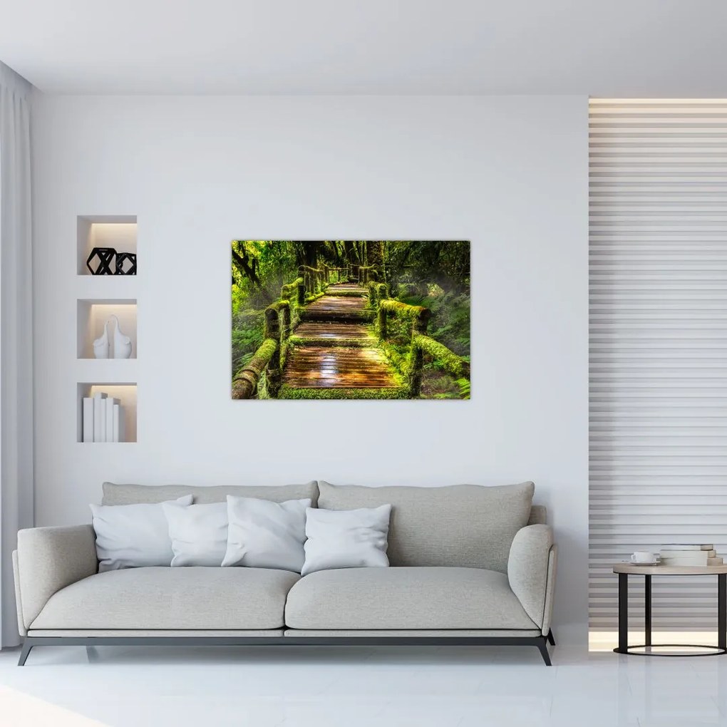 Tablou cu scări într-o pădure tropicală (90x60 cm)