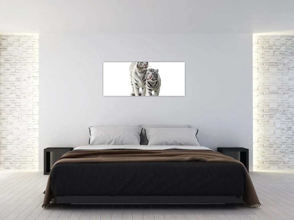 Tablou - Tigrul alb (120x50 cm)