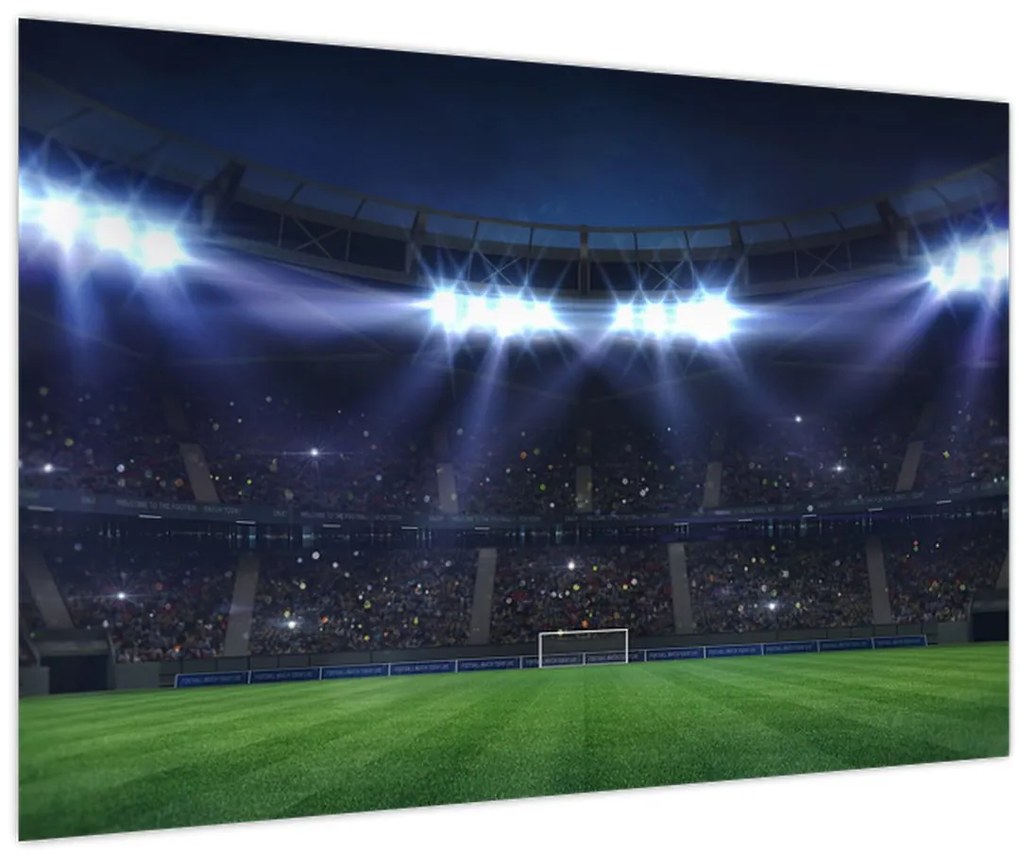 Tablou - Stadion de fotbal (90x60 cm)