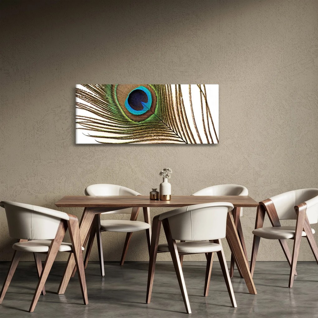 Tablou cu pene de păun (120x50 cm)