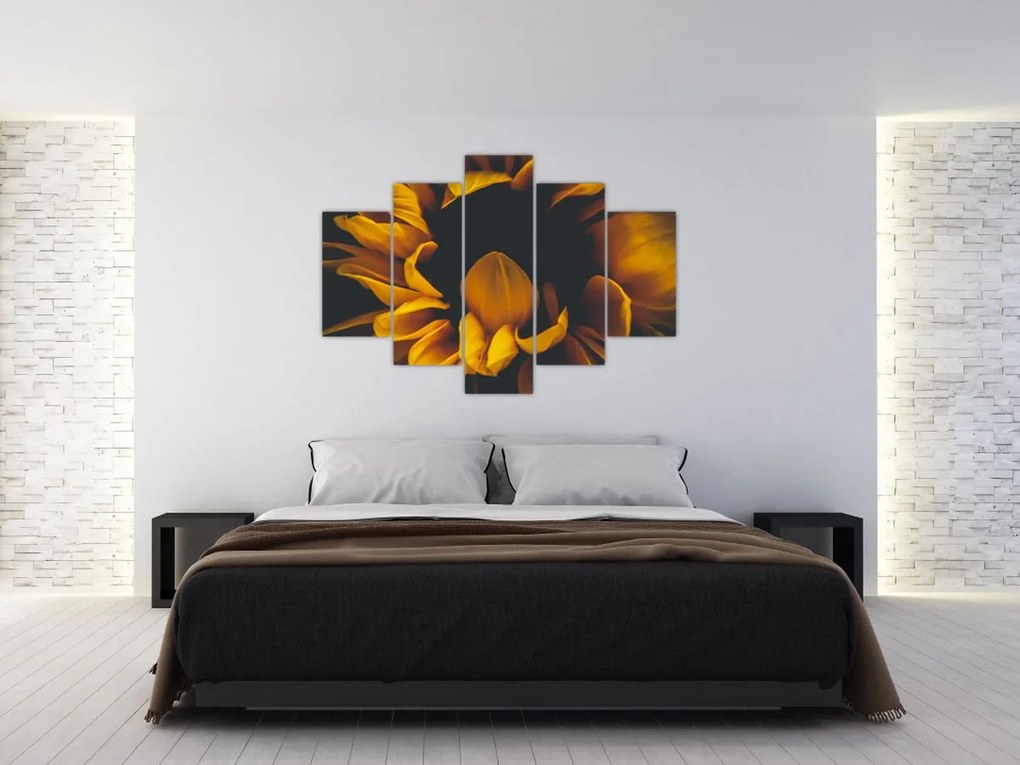 Tablou - Floarea-soarelui în fundal negru (150x105 cm)