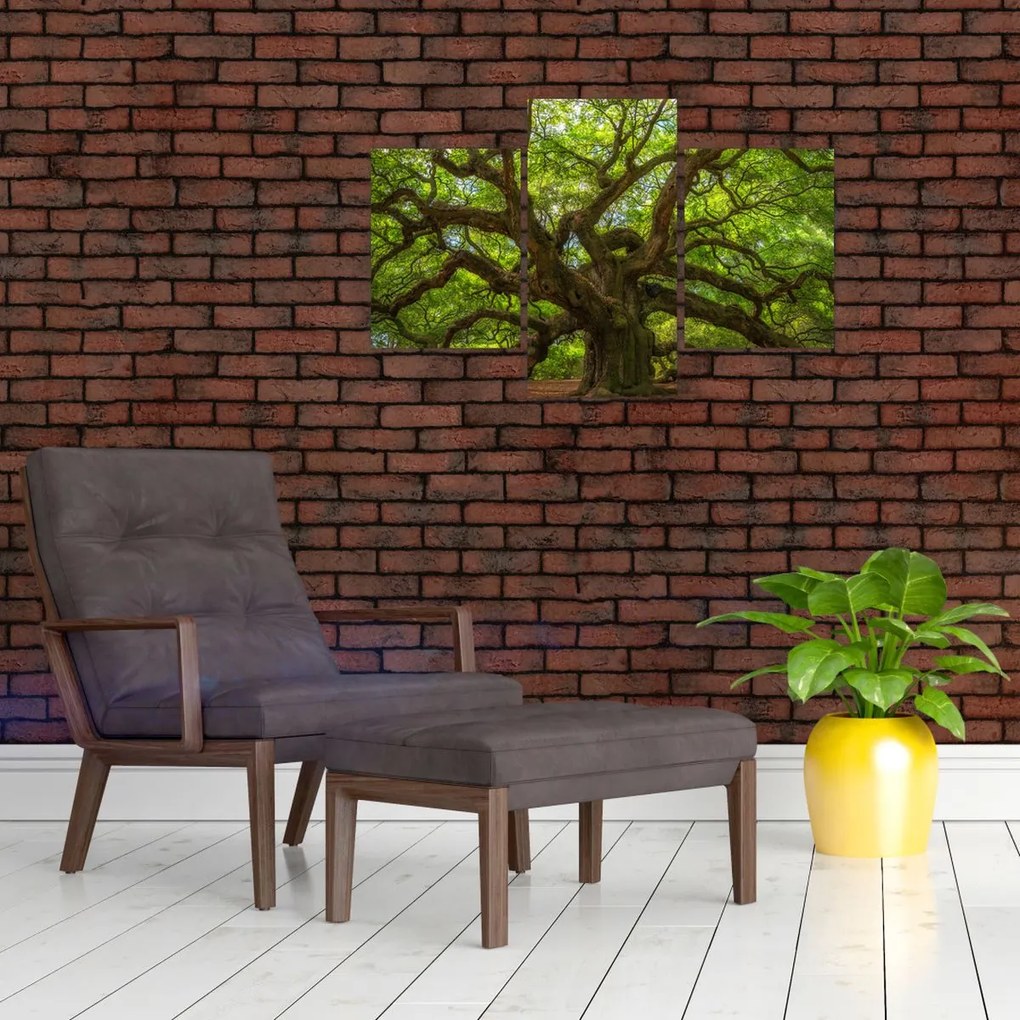 Tablou - Copac verde (90x60 cm)