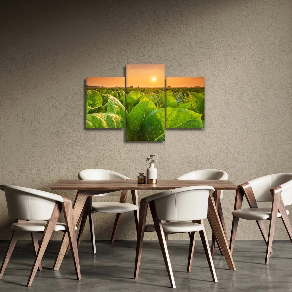 Tablou - Câmp (90x60 cm)