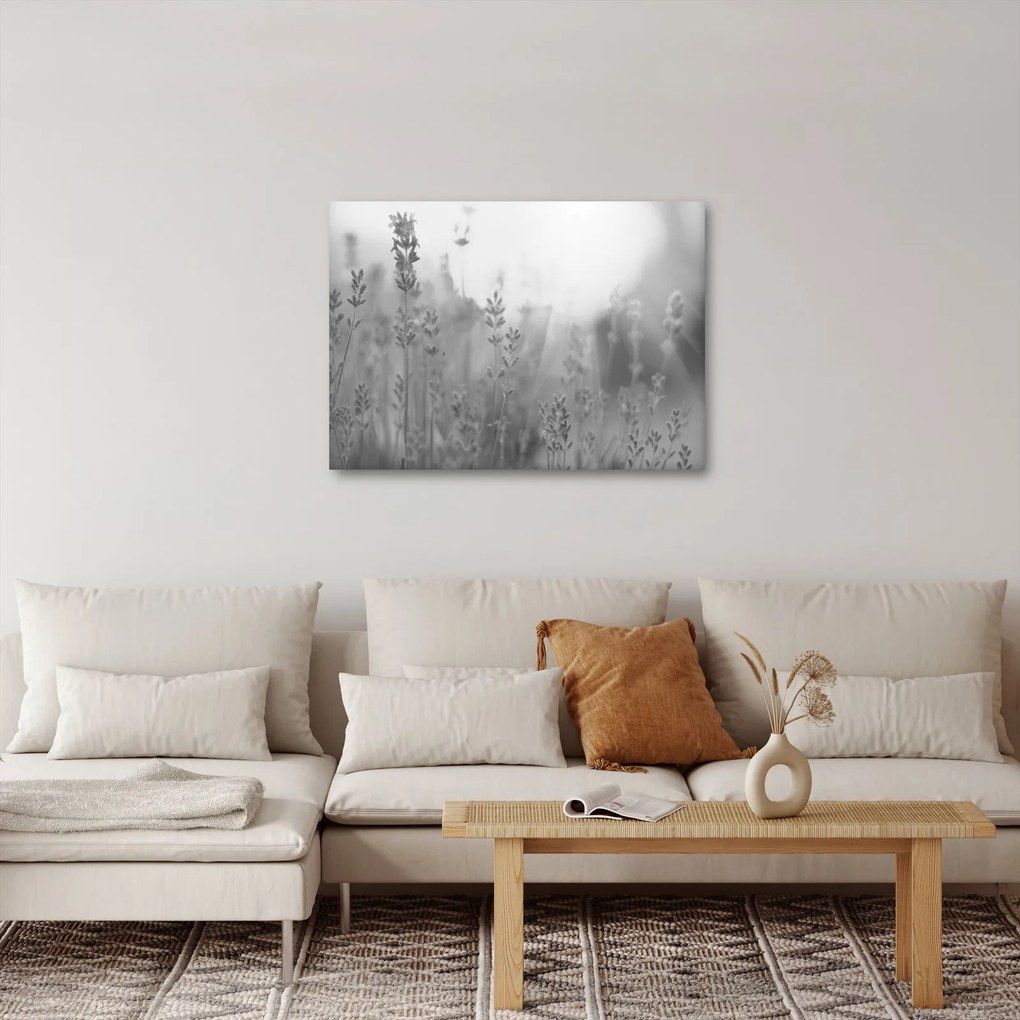 Tablou - Lavanda (70x50 cm)