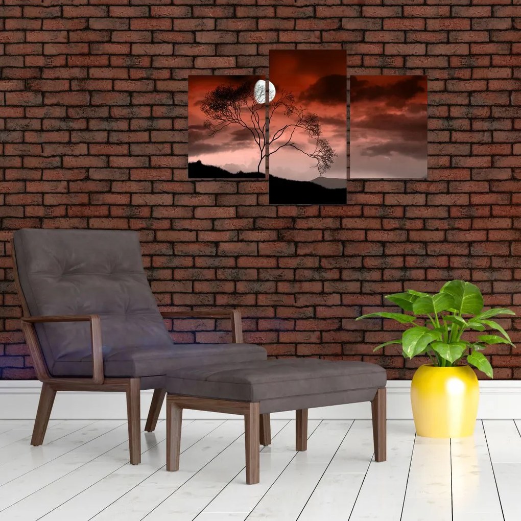 Tablou - Luna luminează noaptea (90x60 cm)