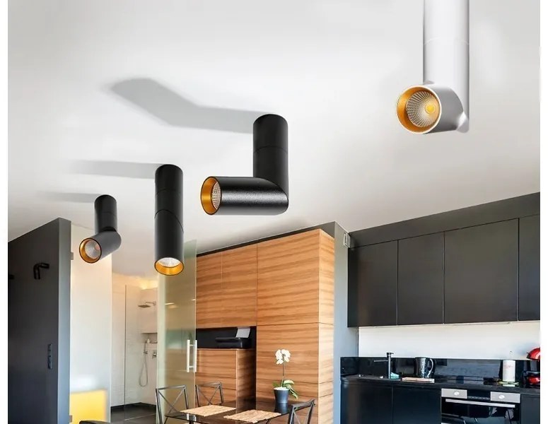 Spot LED modern directionabil aplicat tavan/plafon Santos alb