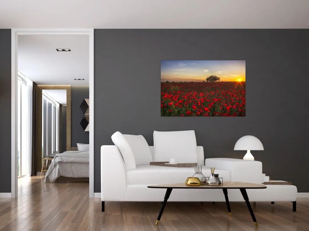 Tablou cu lunca și macii (90x60 cm)