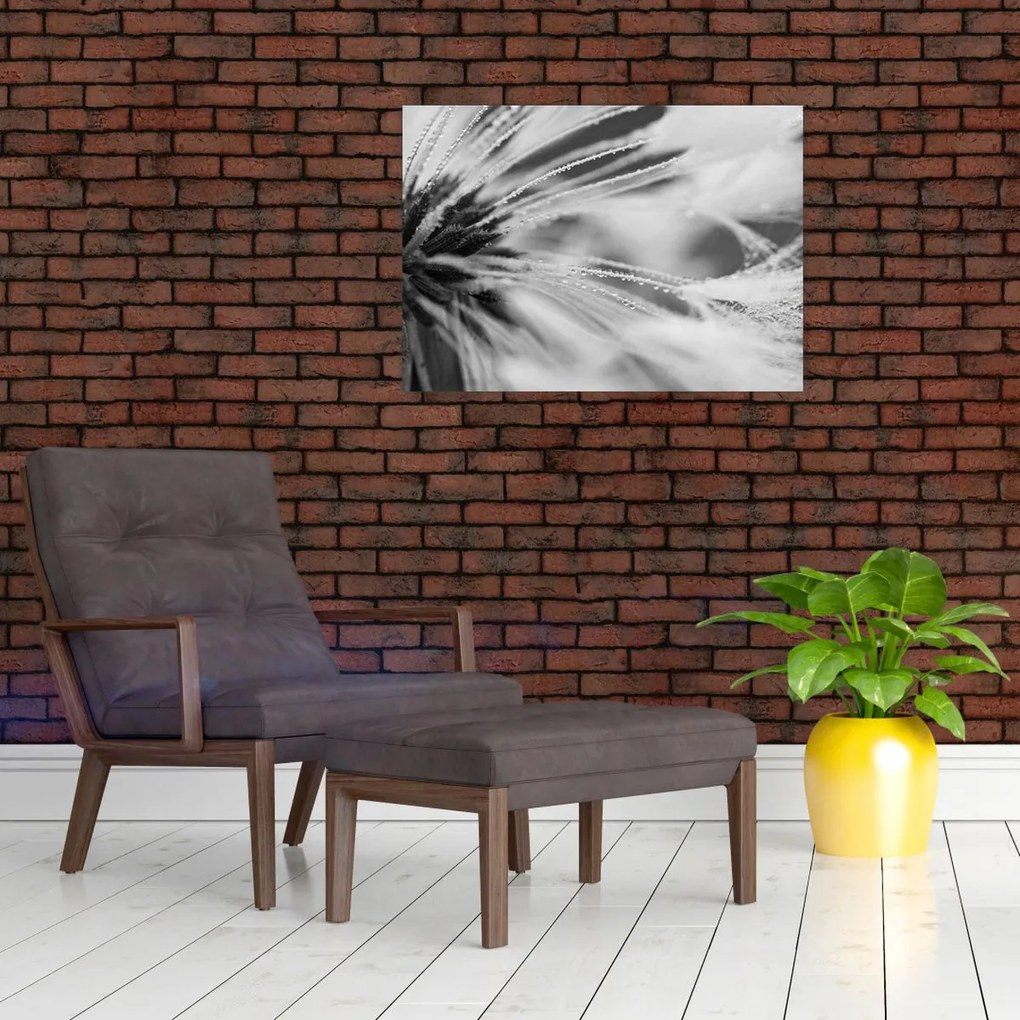 Tablou - Macro,alb-negru (70x50 cm)