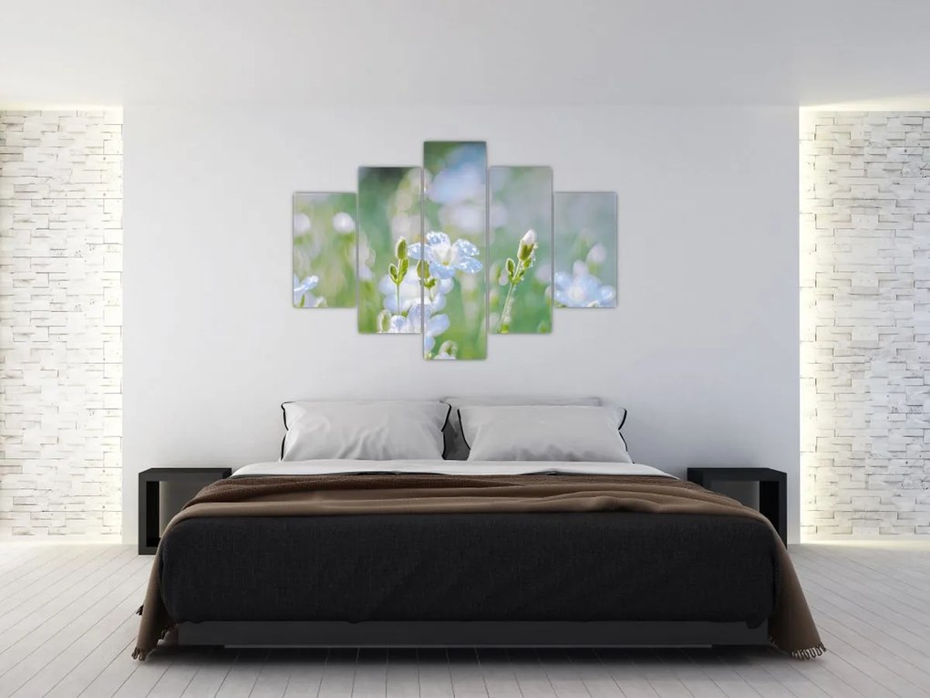 Tablou - Flori delicate (150x105 cm)