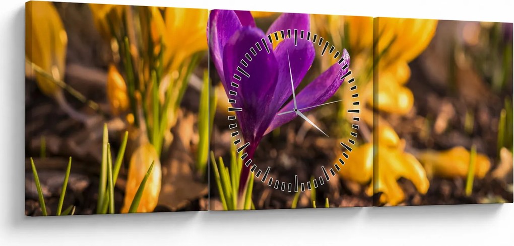 Tablou cu floare violetă (cu ceas) (90x30 cm)