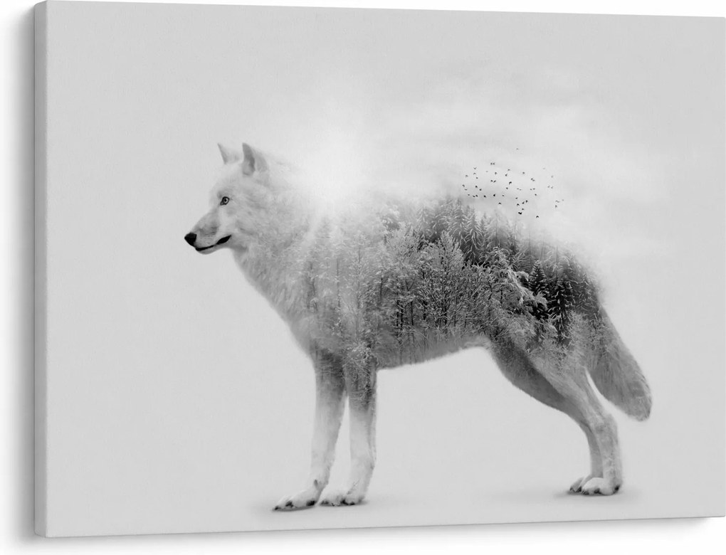 Tablou - Lupul arctic oglindit în peisajul sălbatic, alb-negru (70x50 cm)