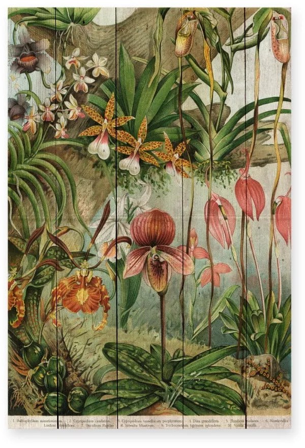 Decorațiune din lemn de pin pentru perete Madre Selva Jungle Flowers, 60 x 40 cm