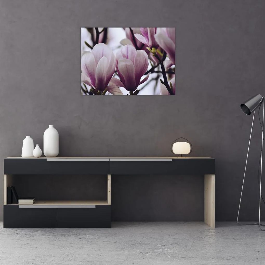 Tablou - Magnolie (70x50 cm), în 40 de alte dimensiuni noi