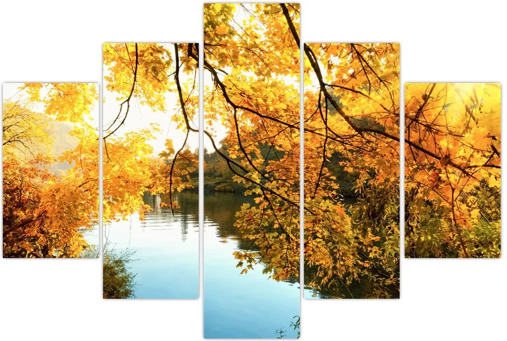 Tablou - Copac de toamnă (150x105 cm)