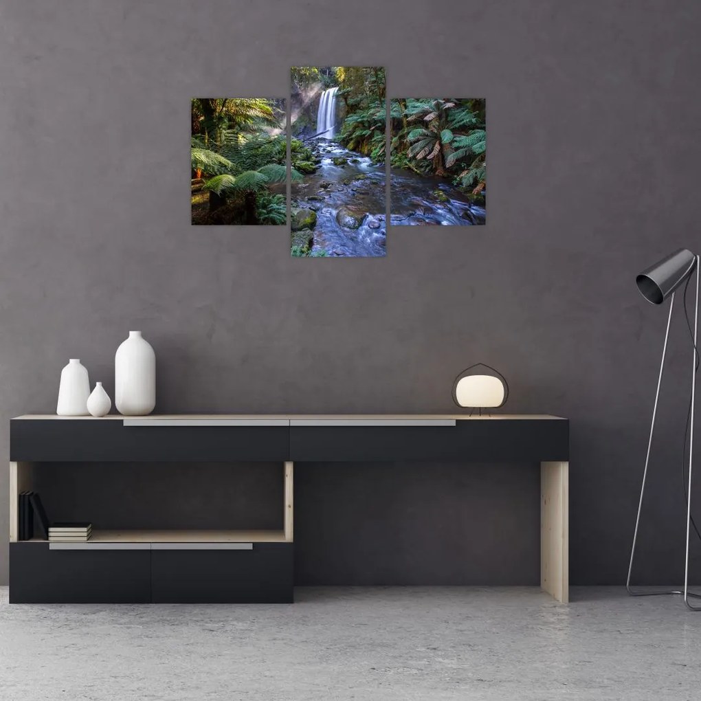 Tablou cu pădurea ploilor din Austalia (90x60 cm)