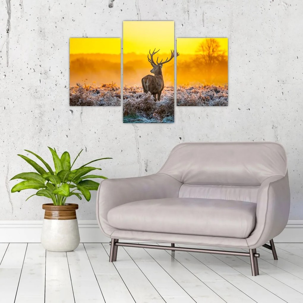 Tablou - Cerb la răsăritul soarelui (90x60 cm)