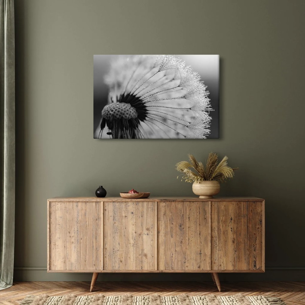 Tablou cu păpădie - albnegru (90x60 cm)