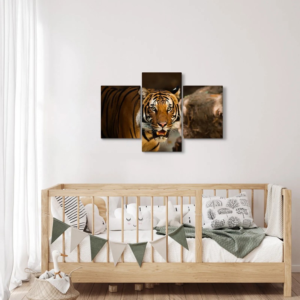 Tablou cu tigrul (90x60 cm)