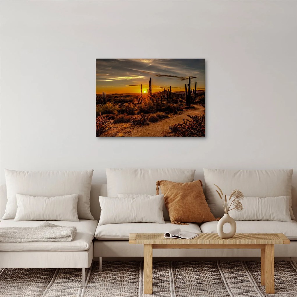 Tablou - Sfărșit de zi în deșertul Arizona (70x50 cm)