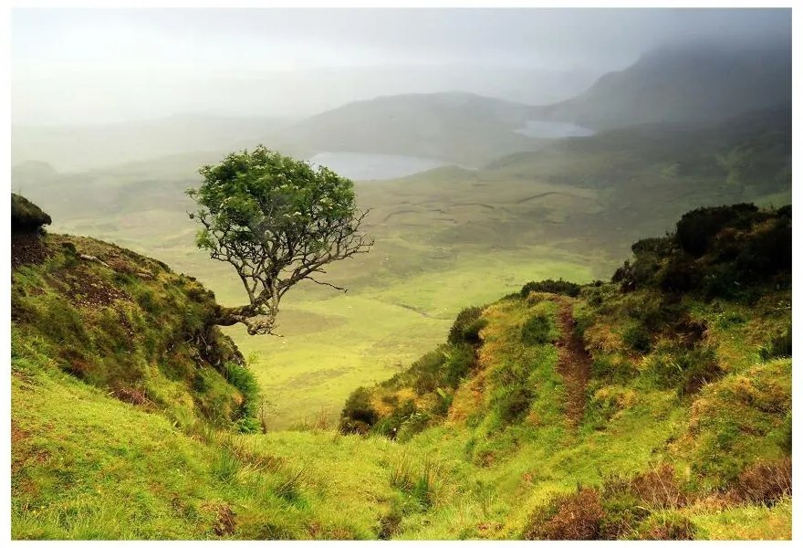 Fototapet Isle Of Skye Scoția