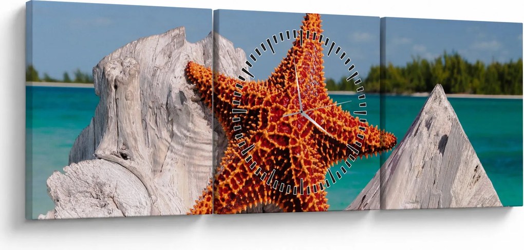Tablou cu stea de mare (cu ceas) (90x30 cm)