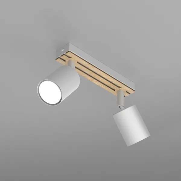 Spot TERRA 2xGU10/8W/230V alb