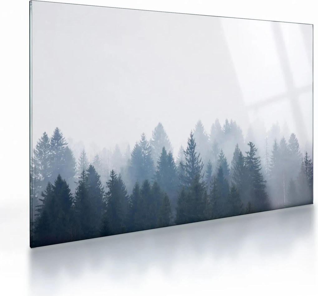 Tablou pe sticlă - Pădure cețoasă (70x50 cm)