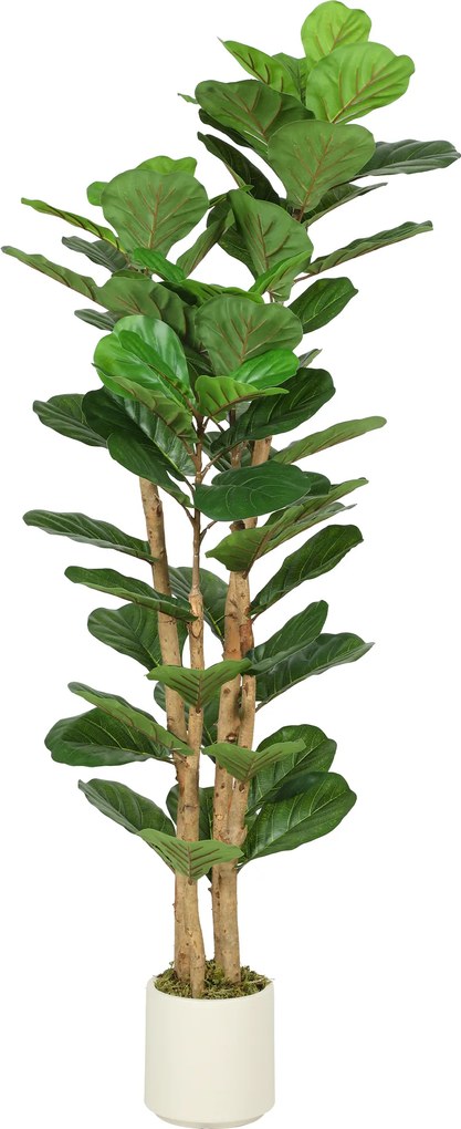 HOMCOM Plantă Artificială Ficus Lyrata 150 cm - Verde | Aosom Romania