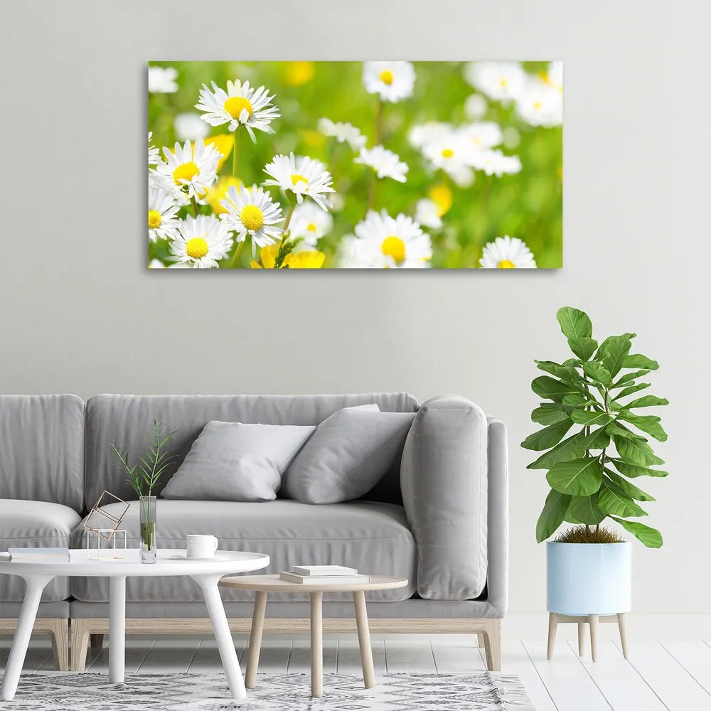 Imprimare tablou canvas Margarete