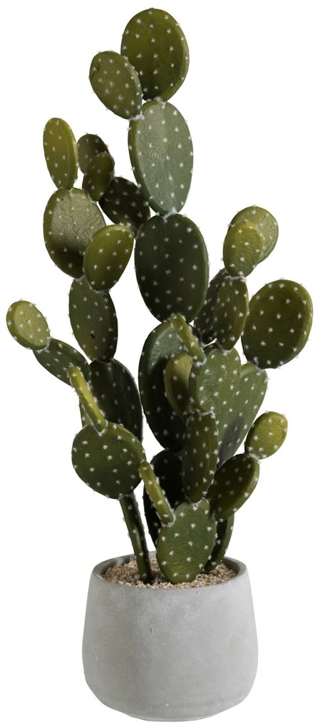 Cactus , Ciment, Verde, 21x21x66 cm