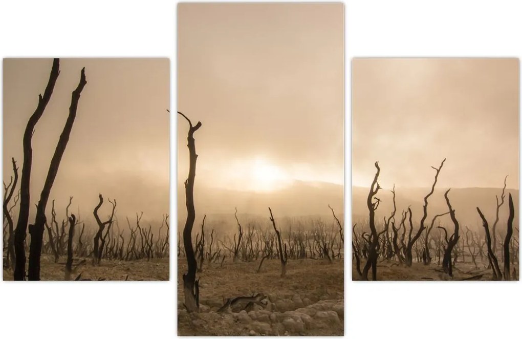 Tablou - Copaci goi (90x60 cm)