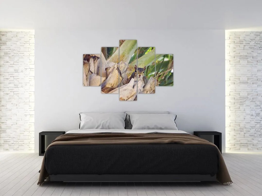 Tablou cu veverița în copaci (150x105 cm)