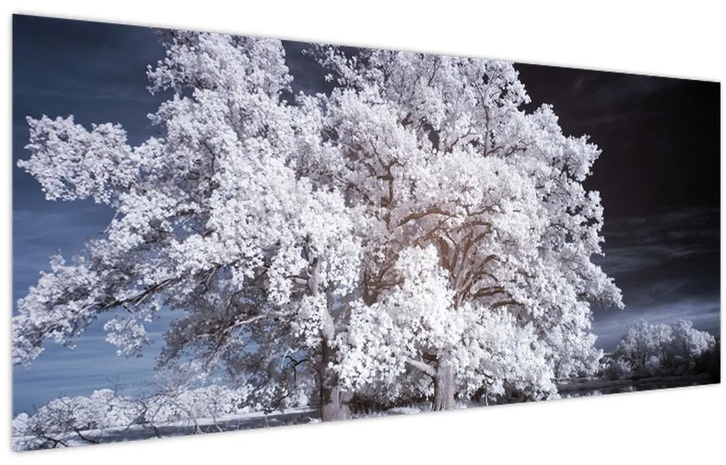 Tablou - Albă ca Zăpada Copac (120x50 cm)
