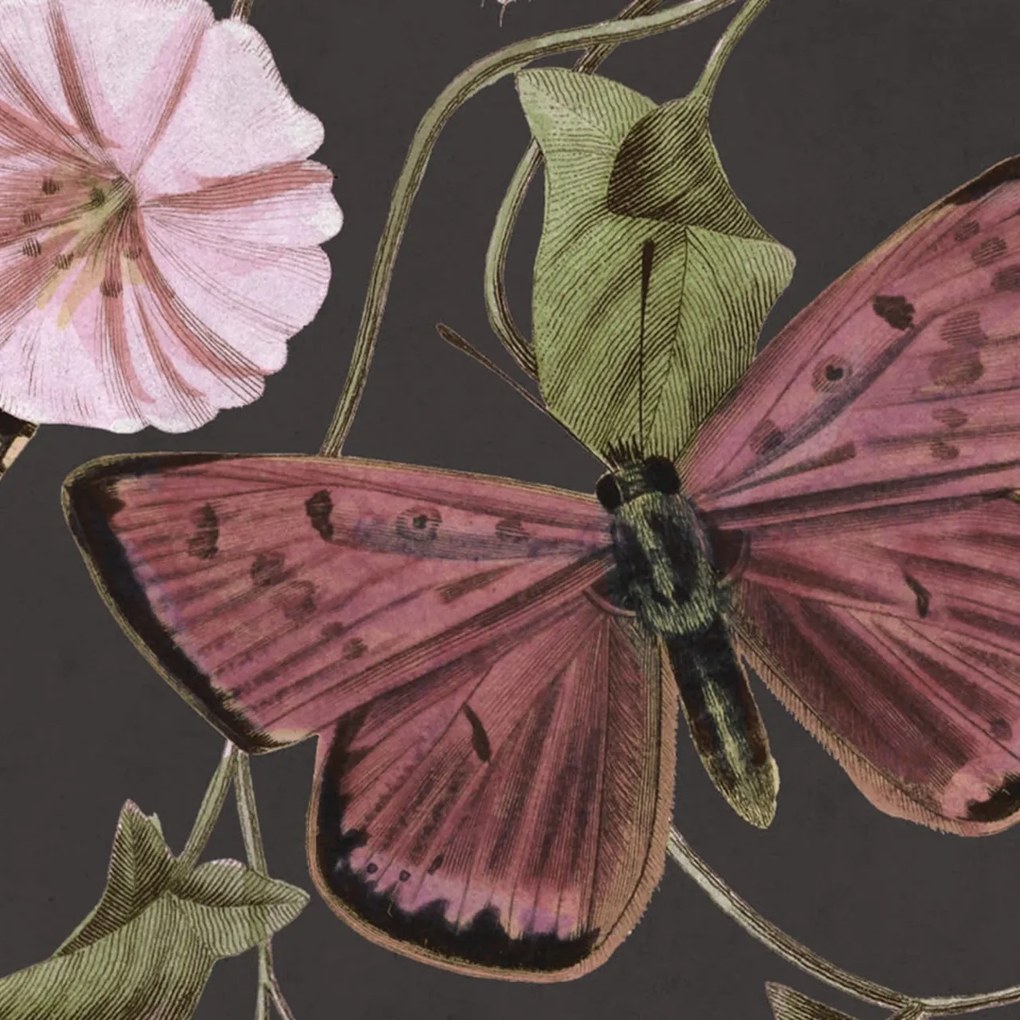 Fototapet, Butterflies, Midnight, Rebel Walls