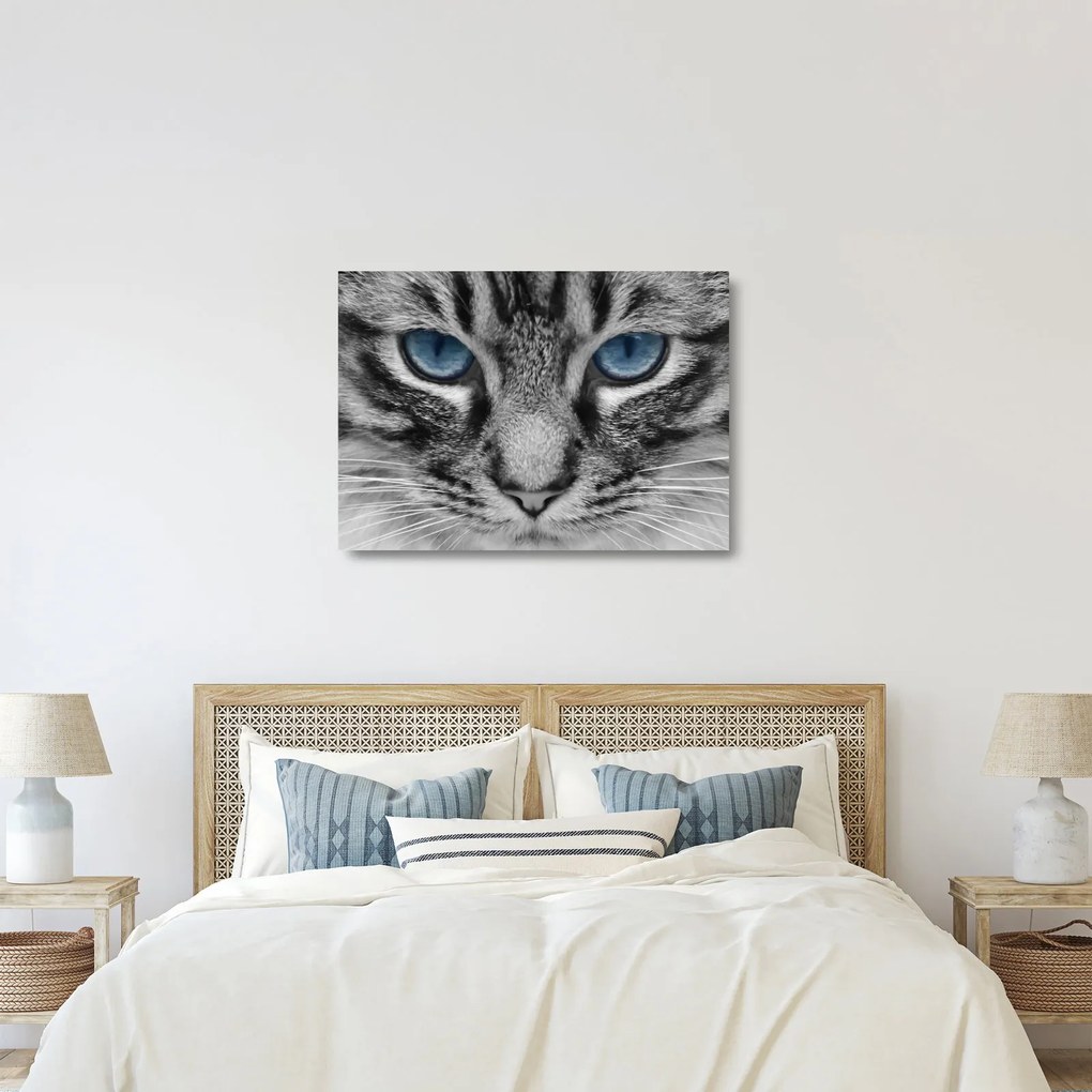 Tablou pe sticlă cu pisica (70x50 cm)