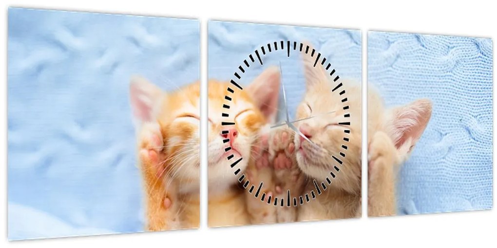 Tablou - Pisicuțe adormite (cu ceas) (90x30 cm)