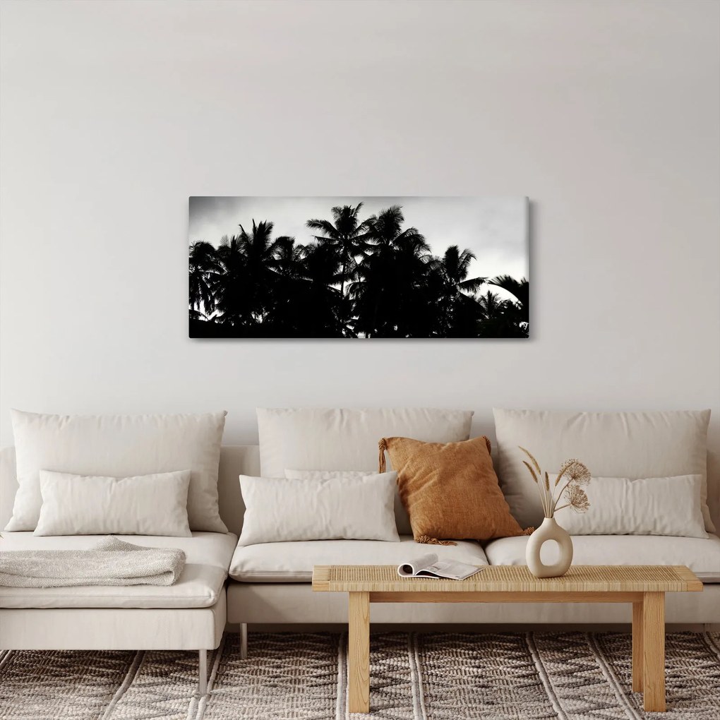Tablou alb negru - palmieri (120x50 cm)