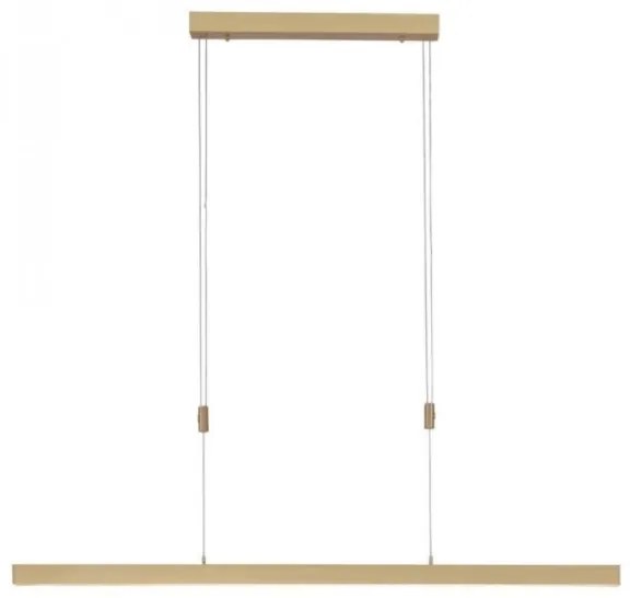 Lustră LED dimabilă pe cablu Paul Neuhaus 2568-60 ADRIANA LED/14W/230V alămie