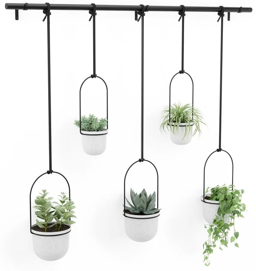 Ghivece decorative 5 buc. din plastic pentru ierburi aromatice/de agățat / de perete ø 7,5 cm Triflora – Umbra