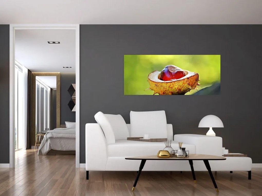 Tablou cu castani (120x50 cm)