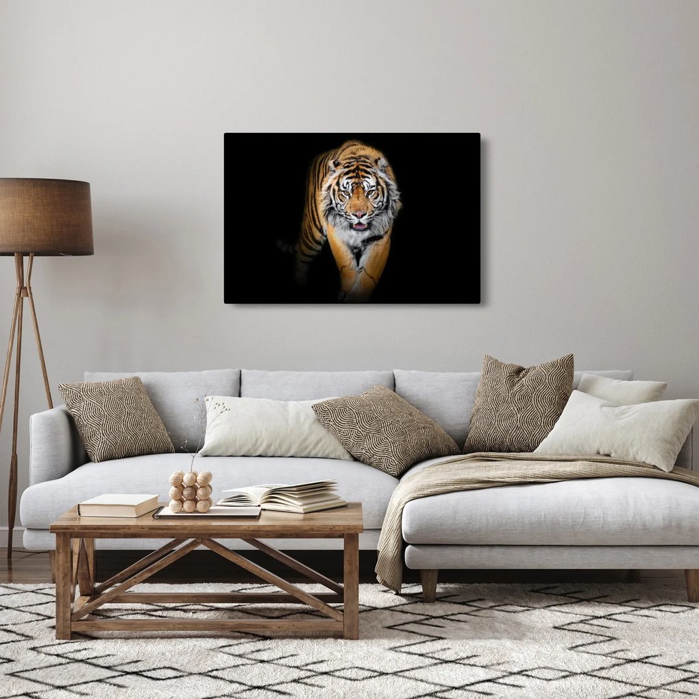 Tablou - Tiger (90x60 cm)