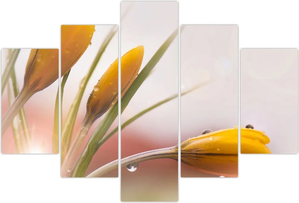 Tablou - Flori de primăvară (150x105 cm)