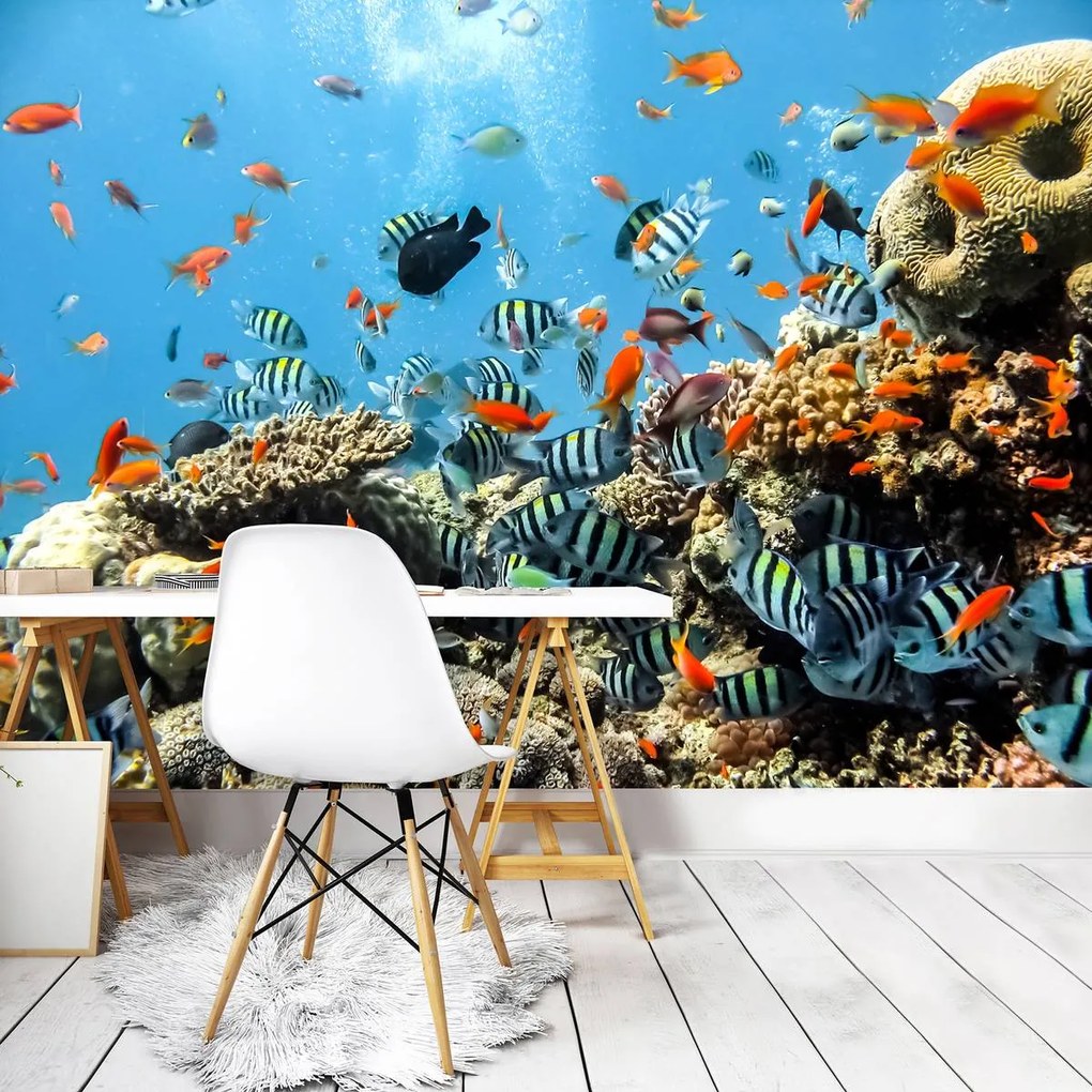 Fototapet - Recif de corali (152,5x104 cm)