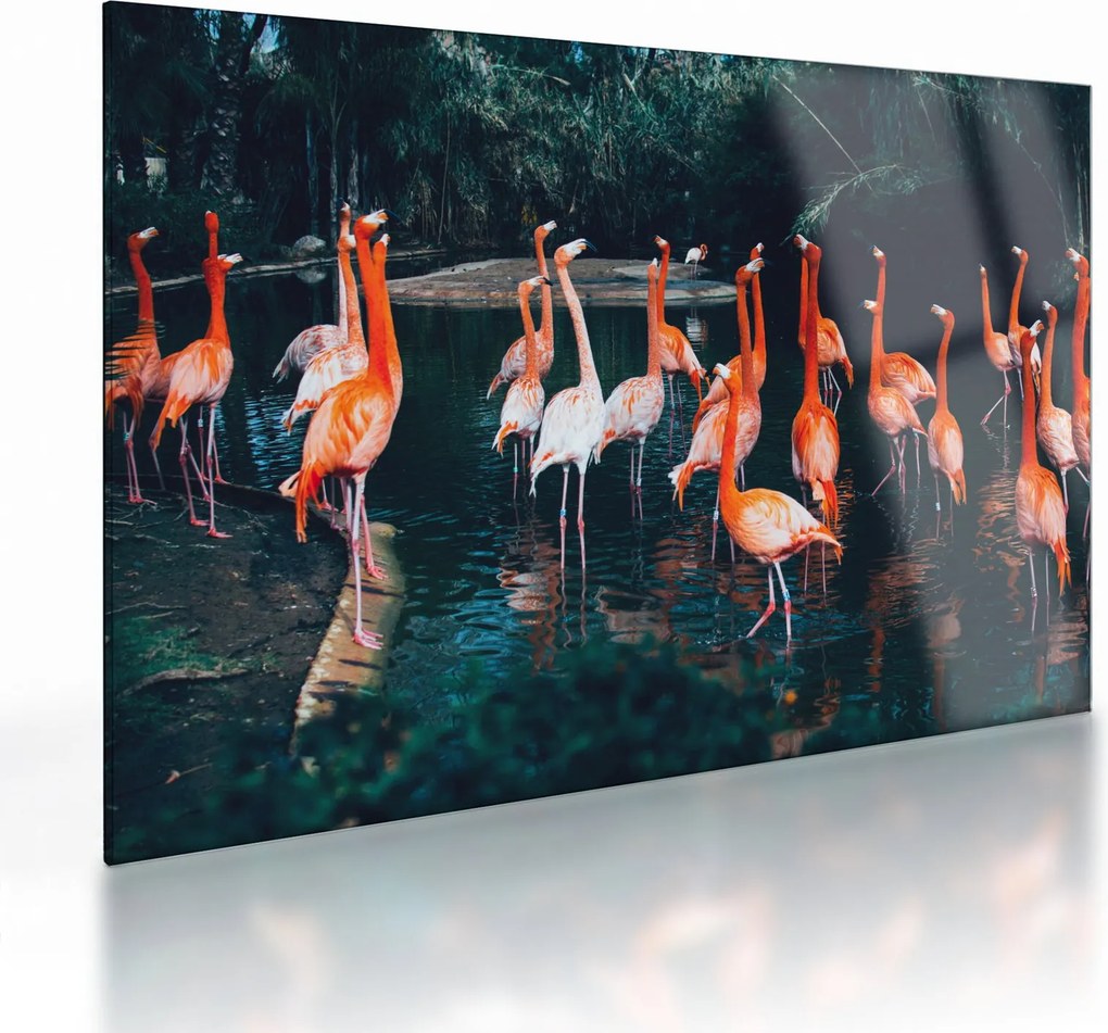 Tablou pe sticlă - turmă de flamingo (70x50 cm)