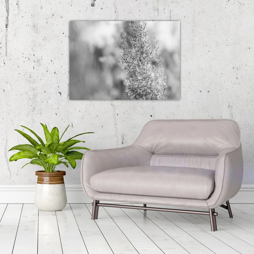 Tablou pe sticlă - Iarbă de pampas Boho (70x50 cm)