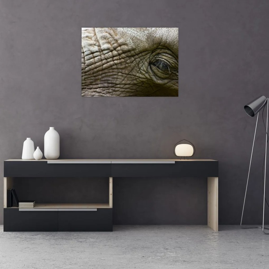 Tablou pe sticlă - Prim-planul ochiului de elefant vechi (70x50 cm)